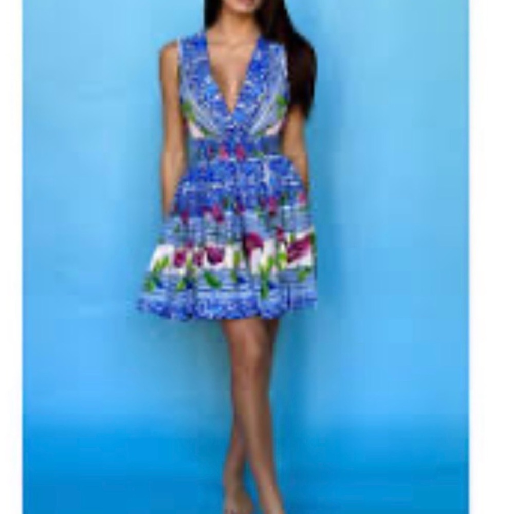 Blue Floral V-Neck Mini Dress